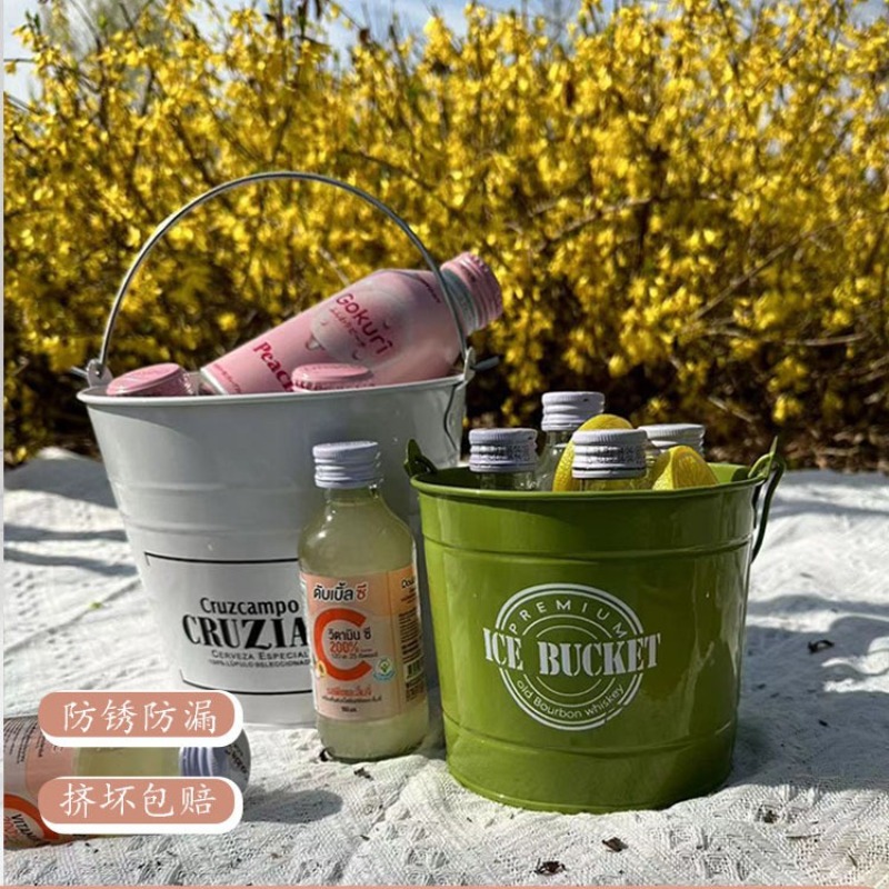 상업용 아이스 버킷 음료 맥주 통, 야외 가정용 아이스 - Ice Bucket Silver 리뷰 및 가격